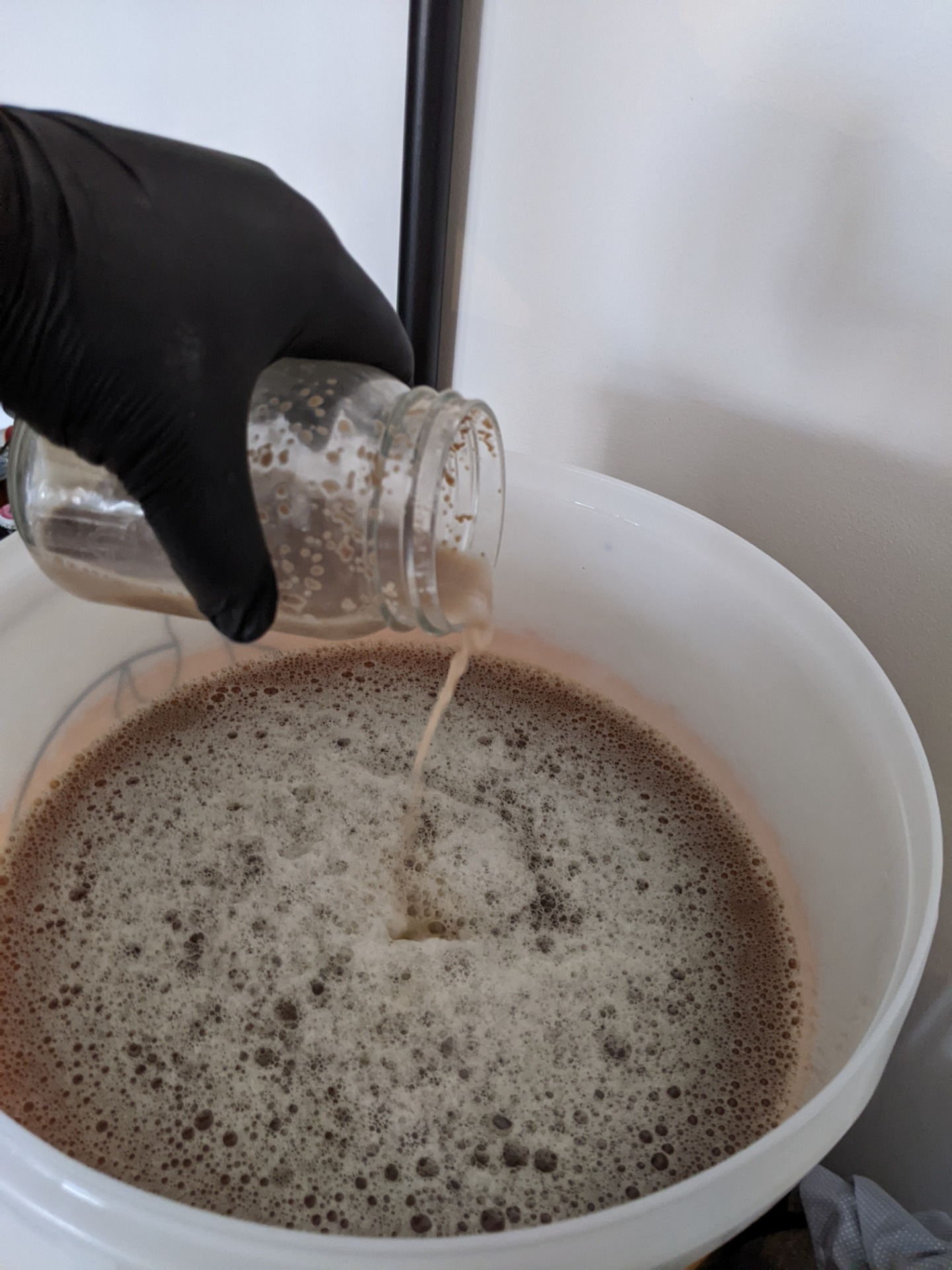 Zakvašení kvasnicemi WLP001 od White Labs